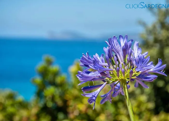 Holiday home Juliette Con Vista Spettacolare Ridosso Del Mare